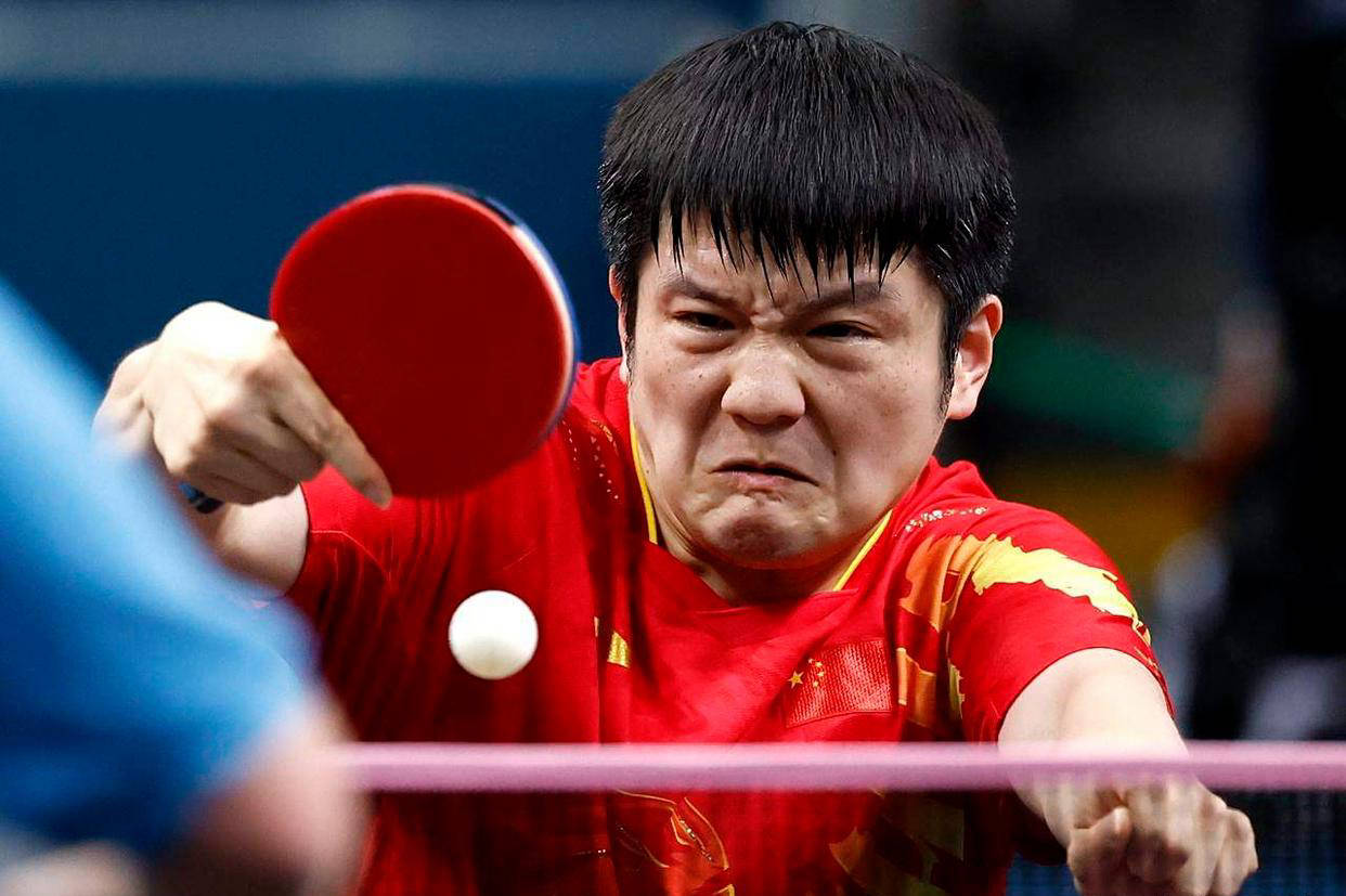 樊振东连胜达13场，征战德国德甲联赛！